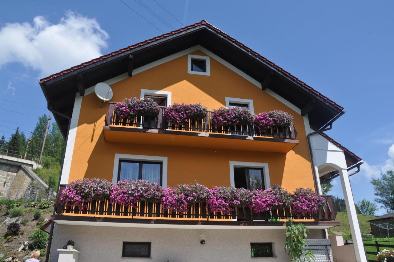 Privatzimmer Bendl Steinhaus am Semmering Екстериор снимка